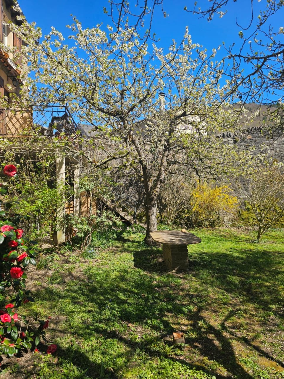 Garden, Garden view