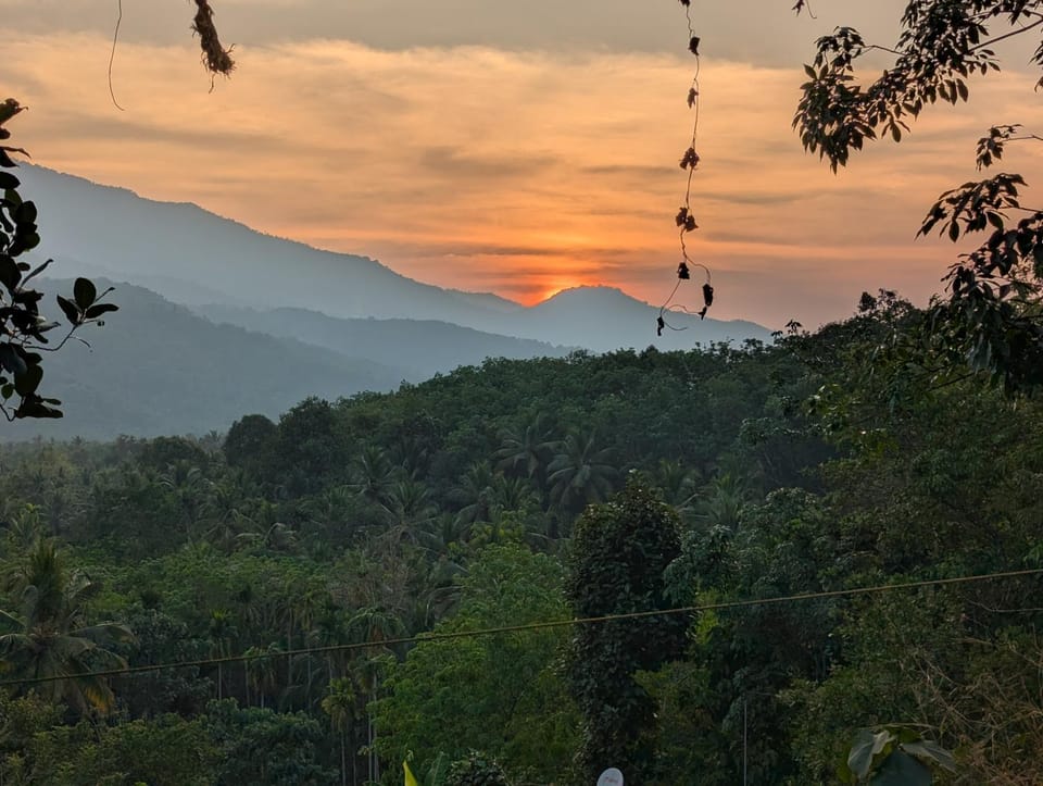 Natural landscape