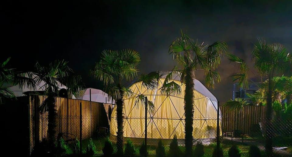 Night, Garden
