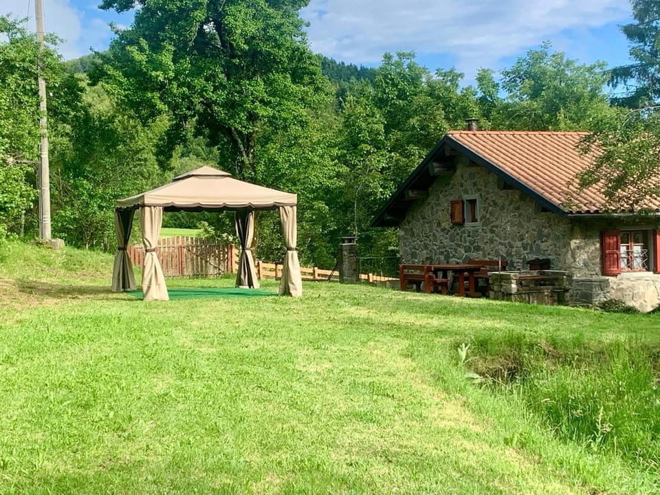 Natural landscape, Garden, Garden view