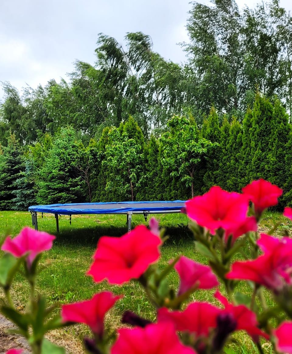 Day, Children play ground, Children play ground, Garden, Garden view