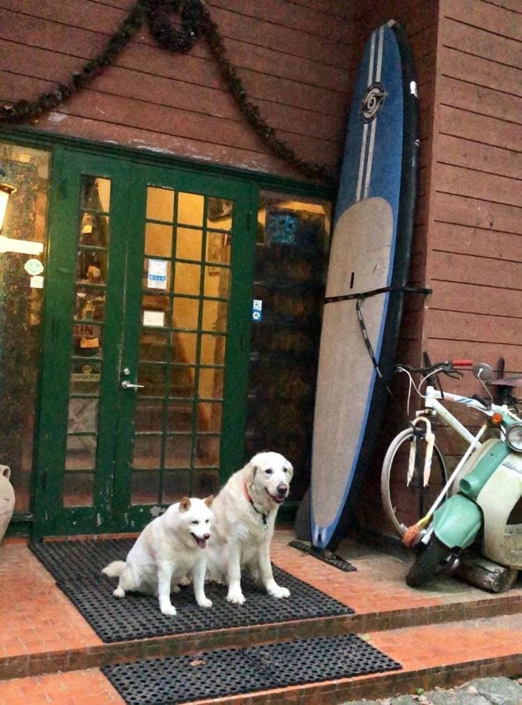 ドッグランドサムデイ Hotel in Shizuoka Prefecture