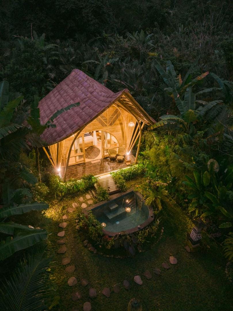 Spring, Night, Natural landscape, Garden, Garden view