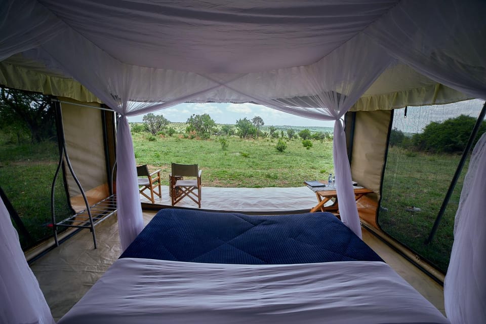 Bed, View (from property/room), Photo of the whole room, Bedroom
