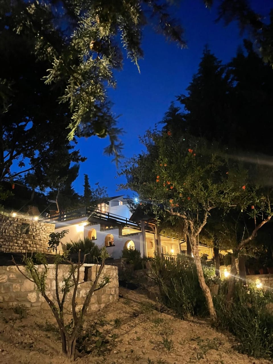 Forest House Bed and Breakfast in Europe