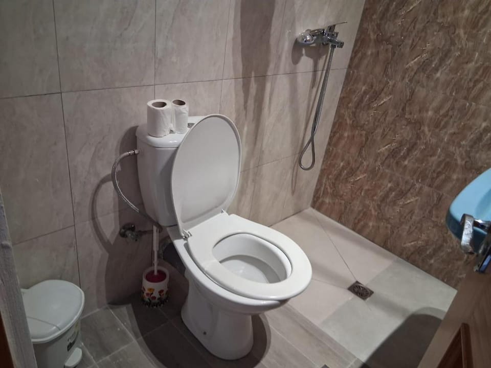 Toilet, Bathroom