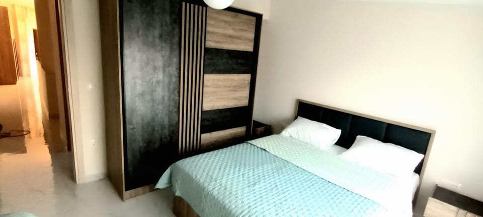 Twins house pool 1 House in Nikiti