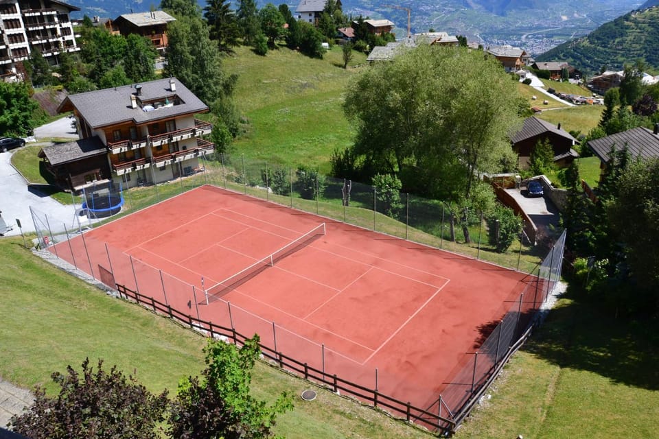 Résidence Arnica 3 pièces Apartment in Nendaz