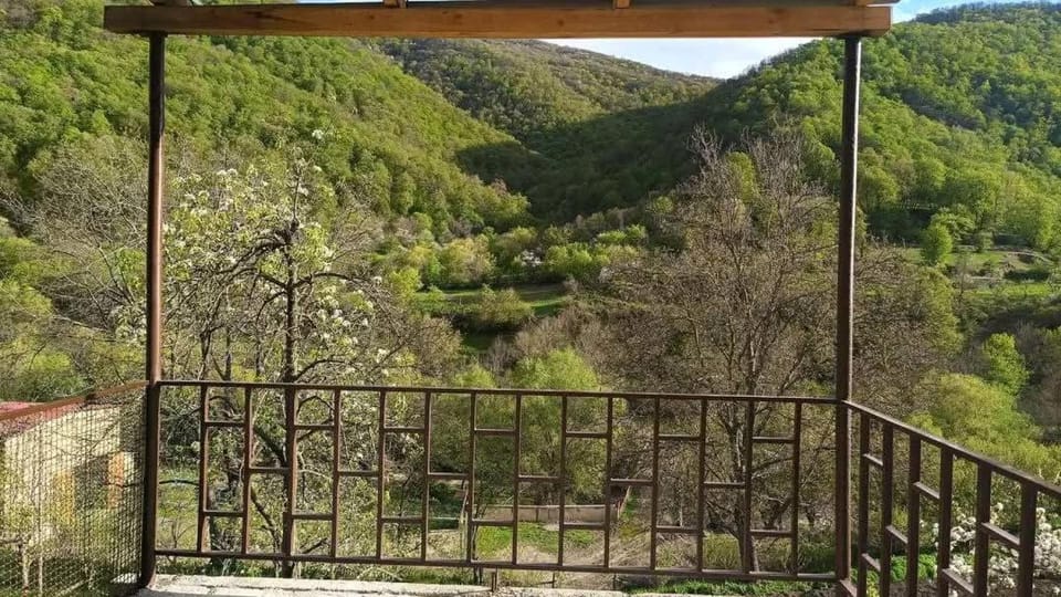 Arabachyan guest house Apartment in Armenia