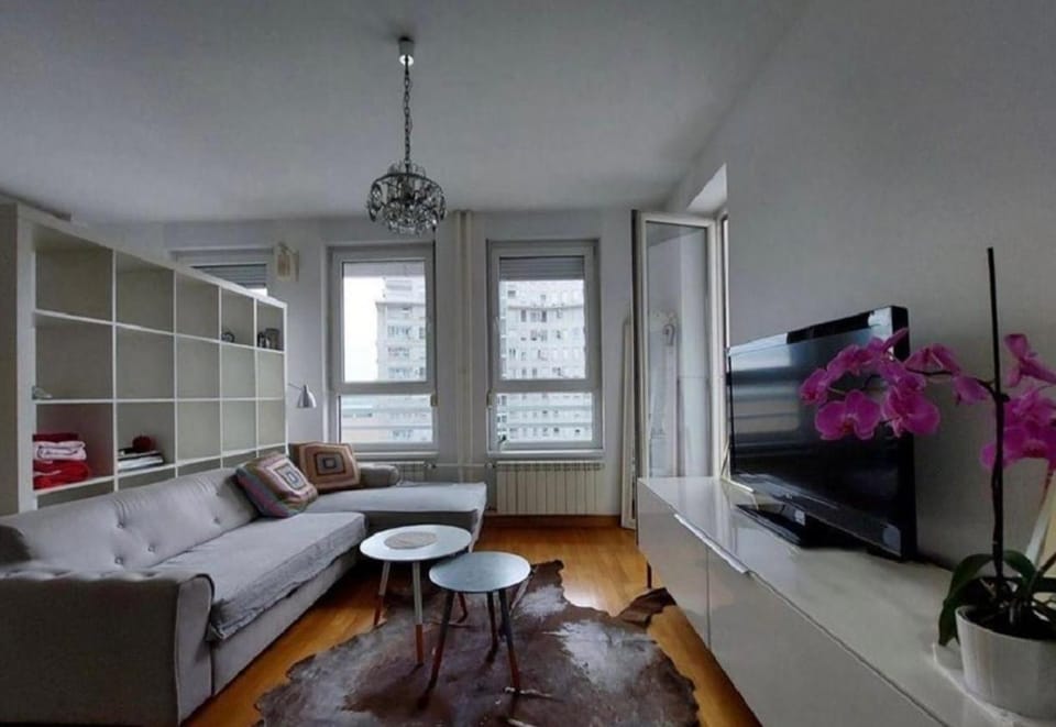 Beautiful apartment belvil Apartment in Belgrade