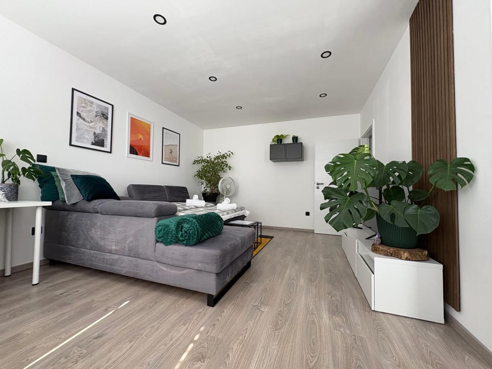 Bed, Living room