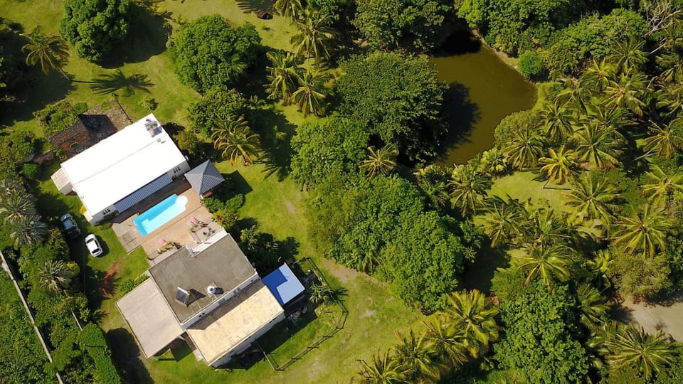 Property building, Spring, Day, Natural landscape, Bird's eye view, Garden, Garden view, Pool view, Swimming pool