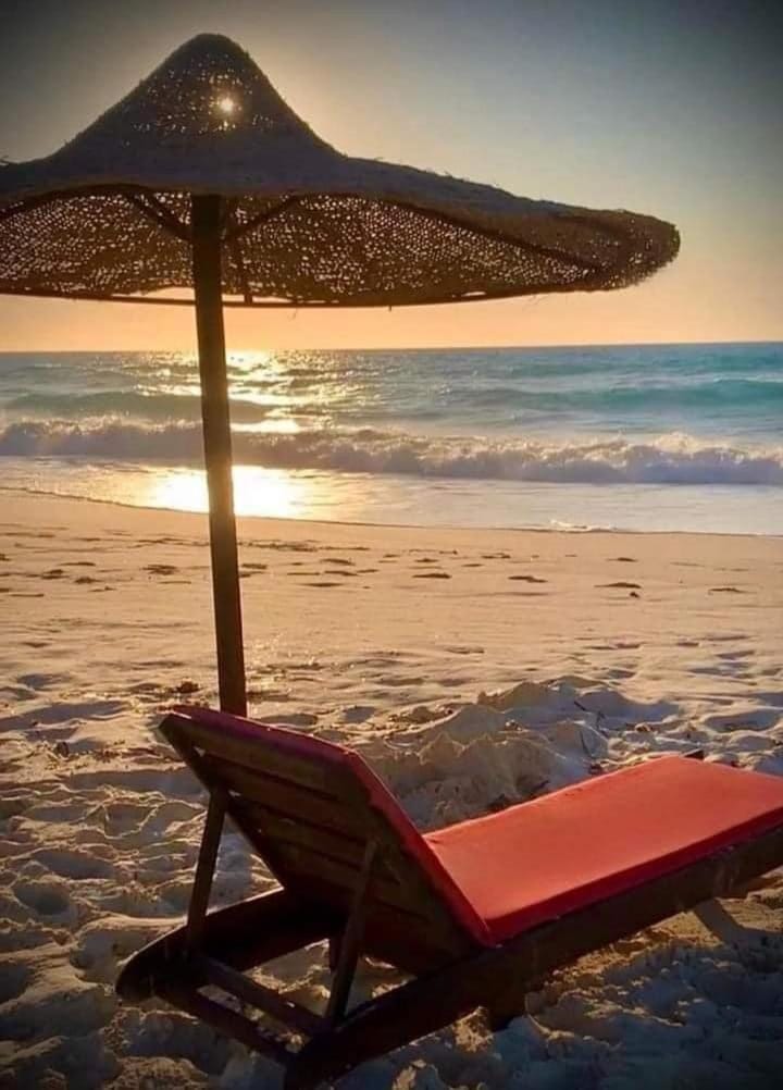 Beach, Sunset, sunbed