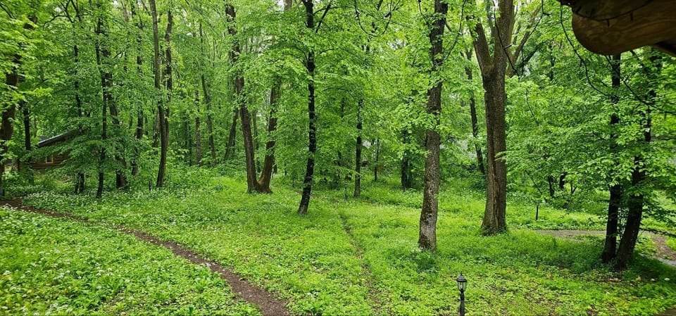 Hotel Doi Haiduci Bed and Breakfast in Moldova