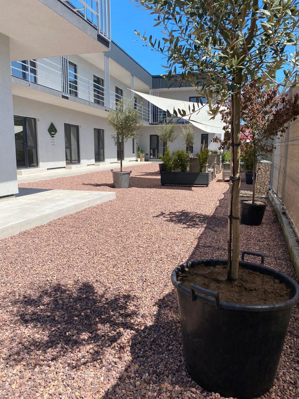 Property building, Garden, Garden view