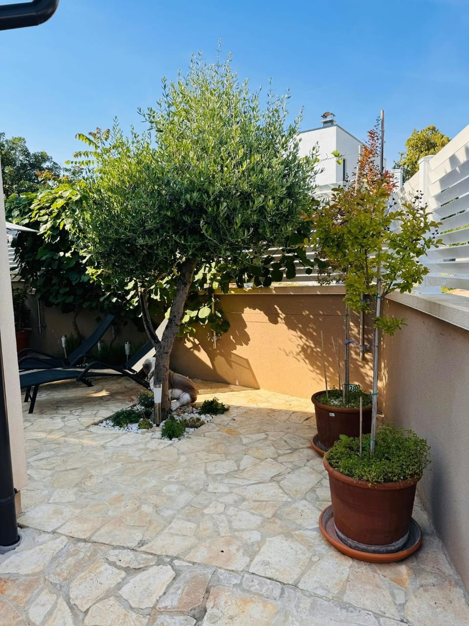 Garden, Garden view