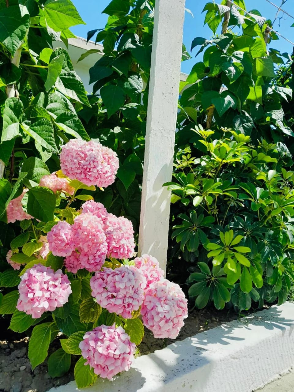 Ylli&Njeza Houses House in Vlorë