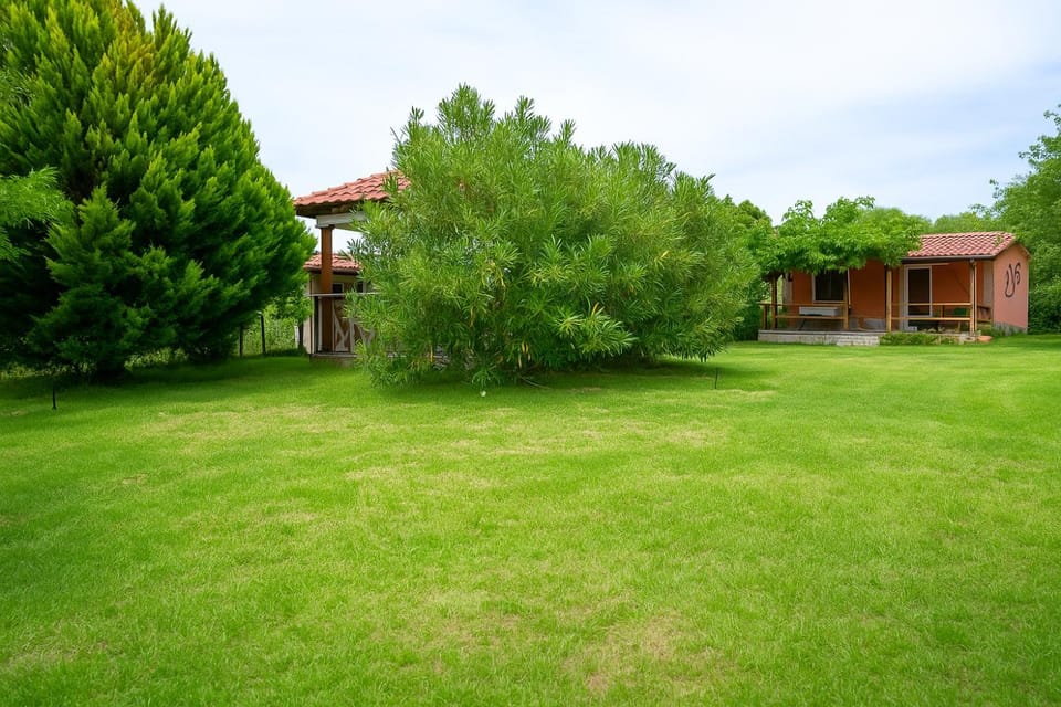 Property building, Day, Natural landscape, Garden, Garden view