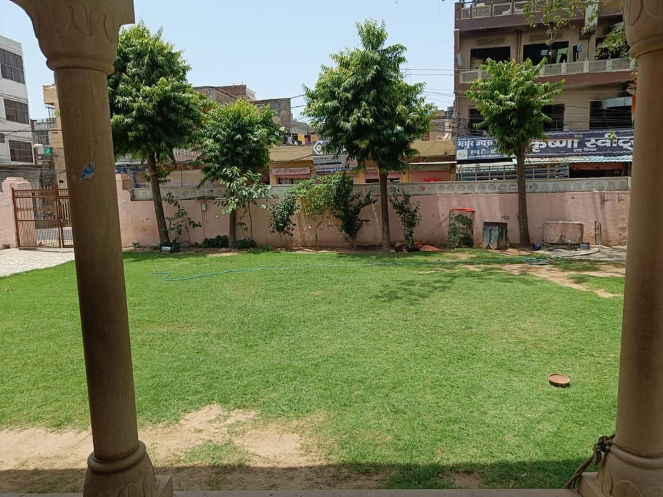 Garden
