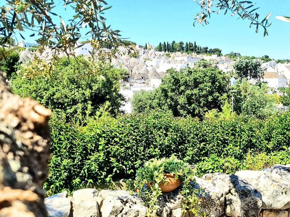 Garden, View (from property/room), Balcony/Terrace, City view, Garden view, Landmark view, Street view, Inner courtyard view