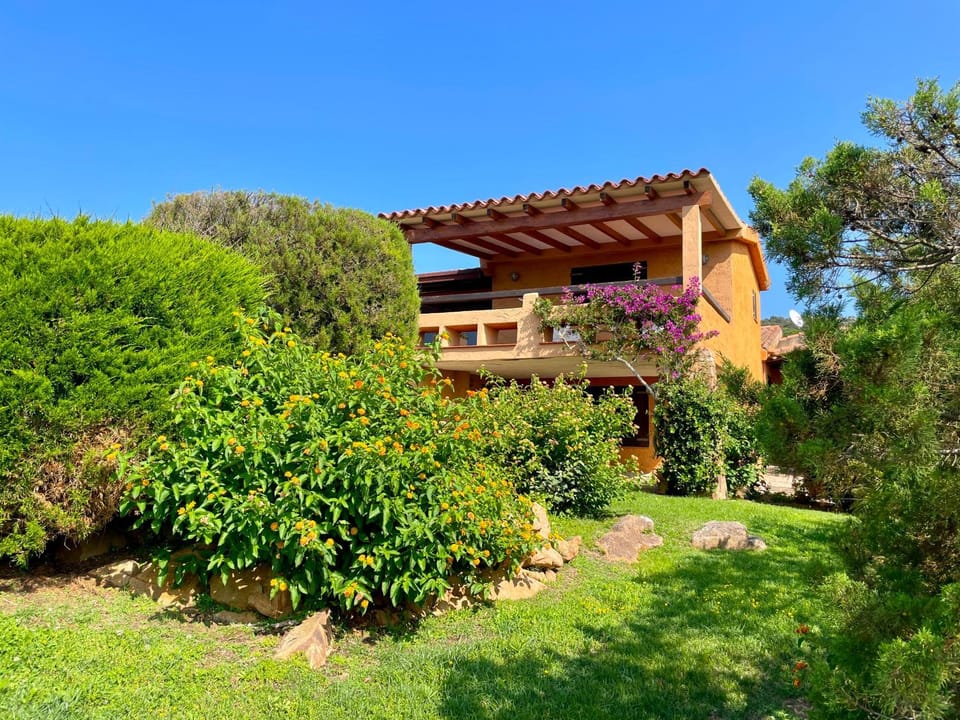Property building, Natural landscape, Garden, Garden view