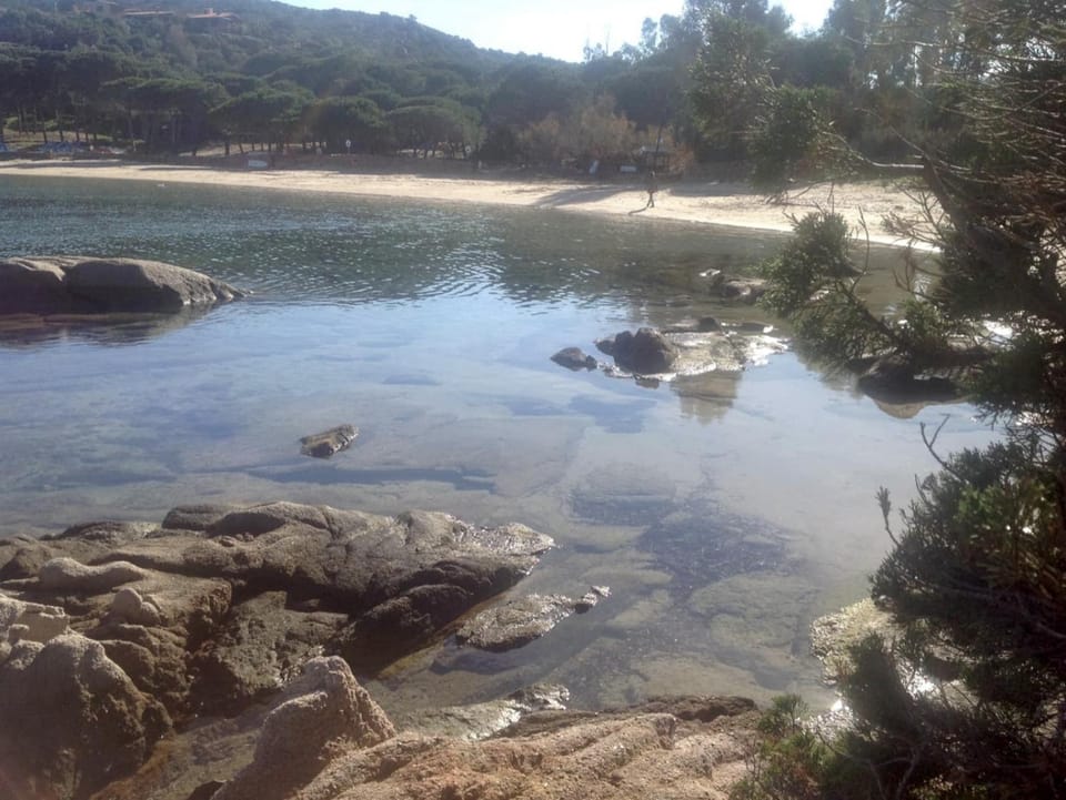 Natural landscape, Beach, Sea view