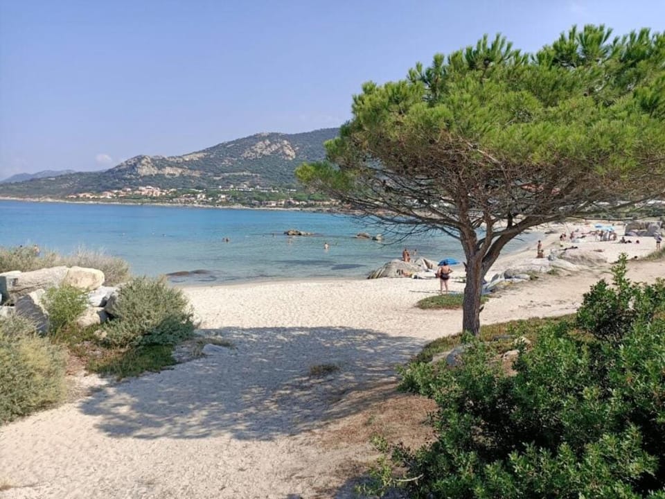 La Pointe de Sel - Plage a 2 minutes a pied House in Lumio