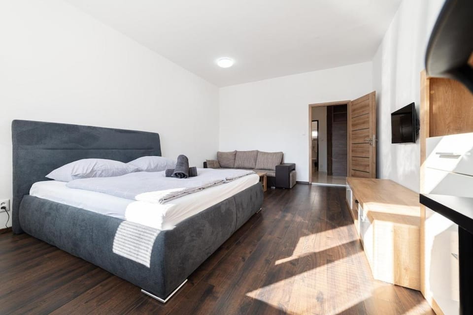No8 Spacious City Center Apartment Apartment in Bratislava