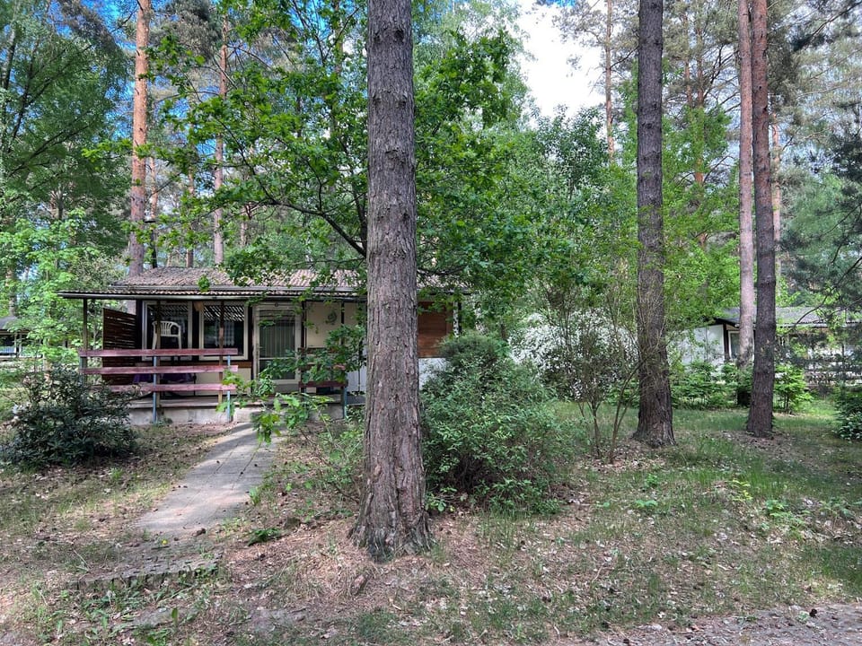 Property building, Spring, Natural landscape, On site, Garden view, Location