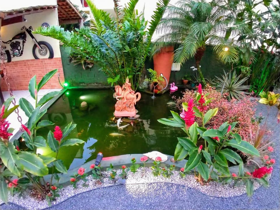 Day, Garden, Garden view