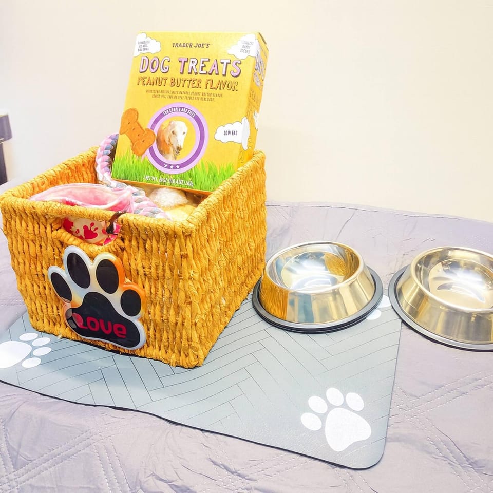 Animals, Pets, pet friendly