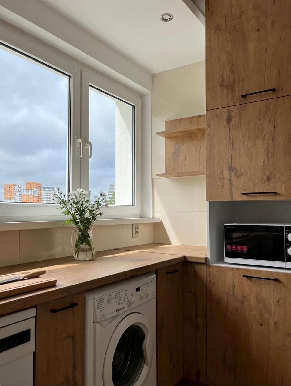 Kitchen or kitchenette, dishwasher, pet friendly, stove, washing machine