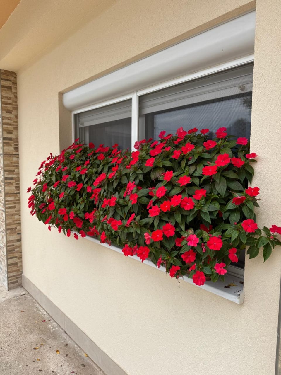 Pansion Speranza Međugorje Bed and Breakfast in Federation of Bosnia and Herzegovina