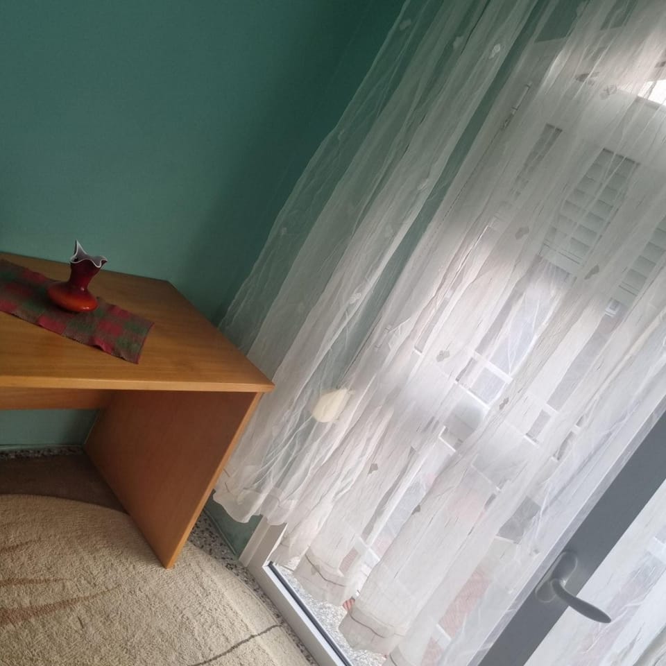 Apartman Mina Apartment in Serbia