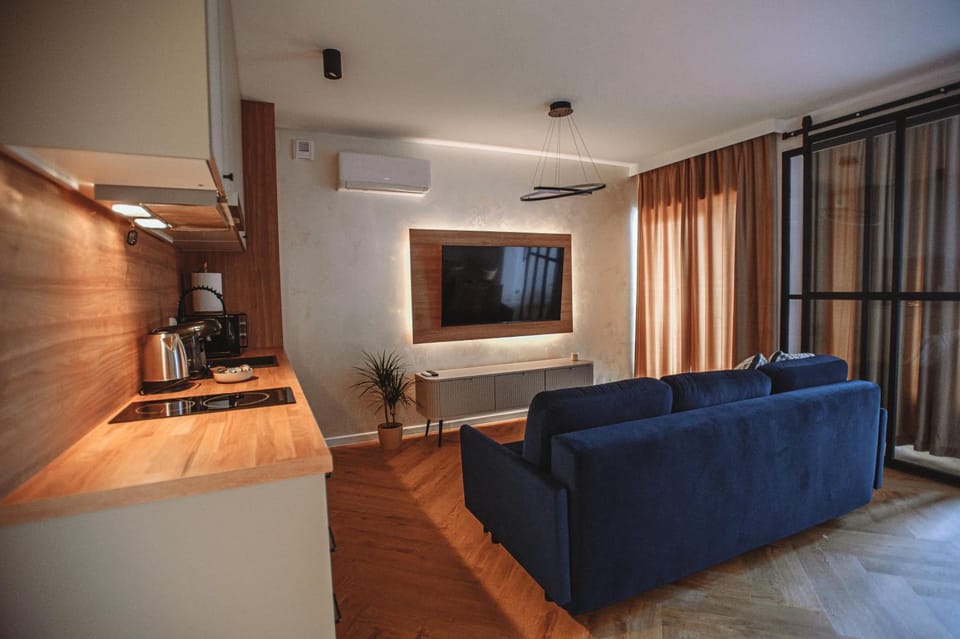TV and multimedia, Kitchen or kitchenette, Living room, Seating area, air conditioner