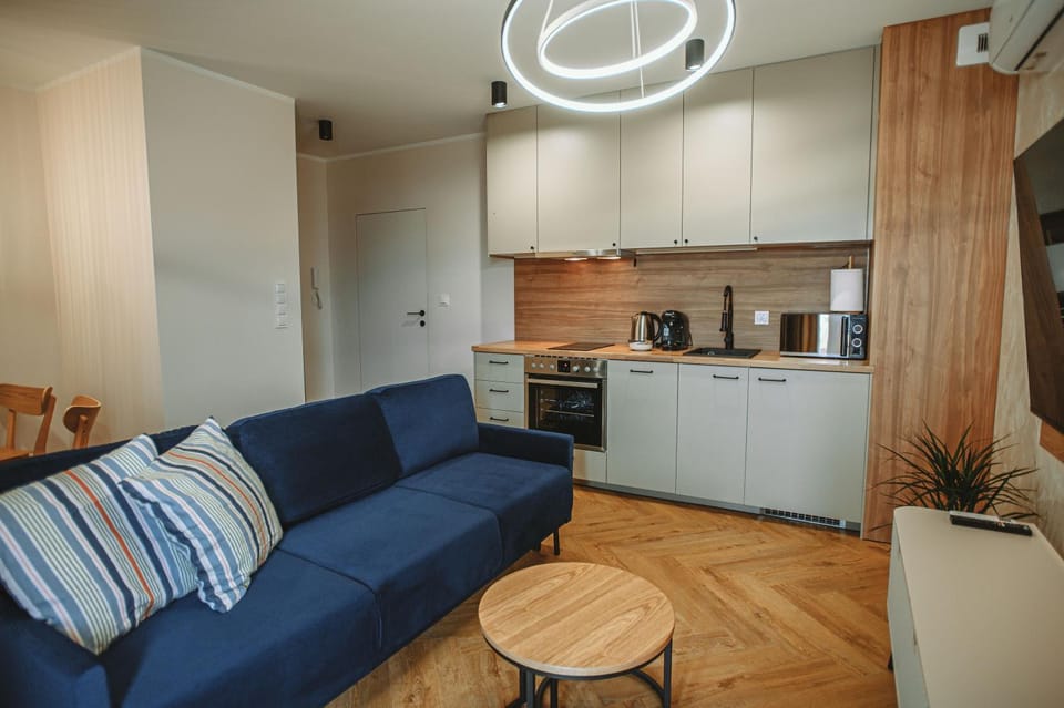 Kitchen or kitchenette, Living room, Seating area, dishwasher, stove
