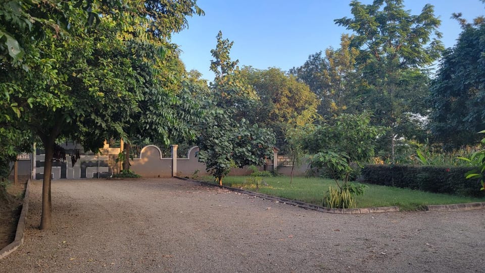 Garden, Garden, Garden view