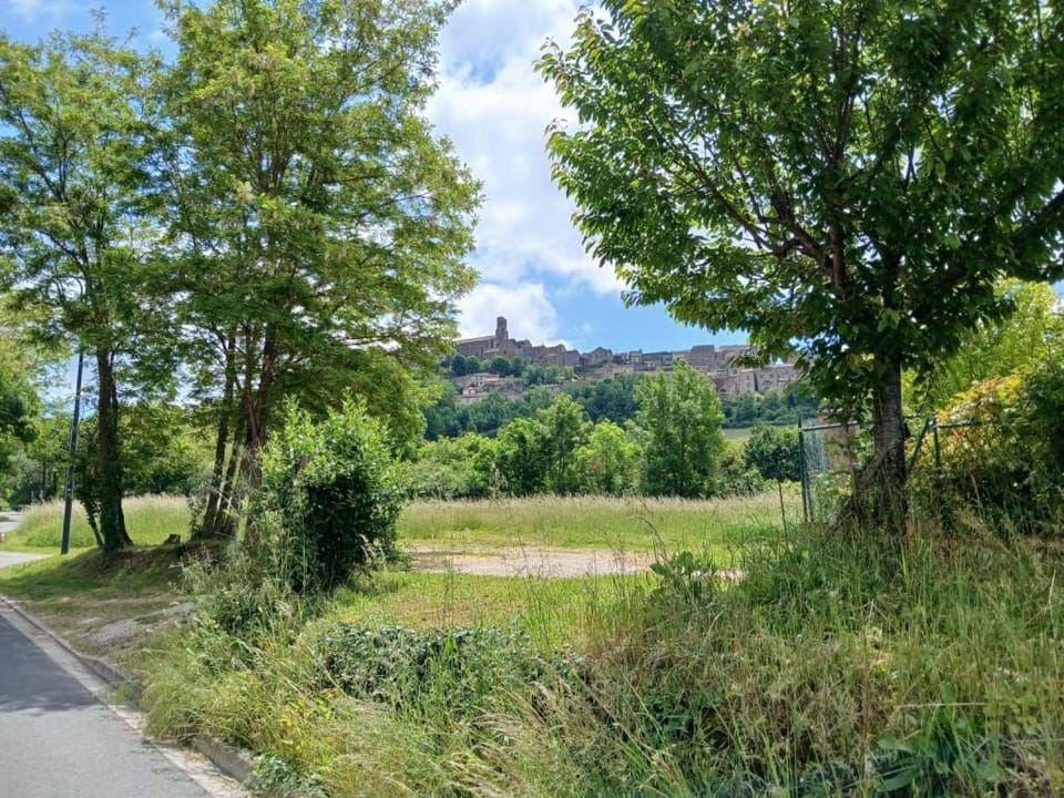 cosy logis et son écrin de verdure Apartment in Cordes-sur-Ciel