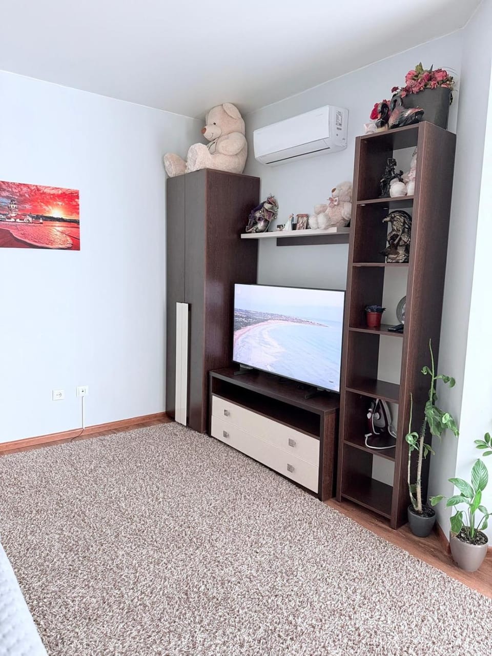 TV and multimedia