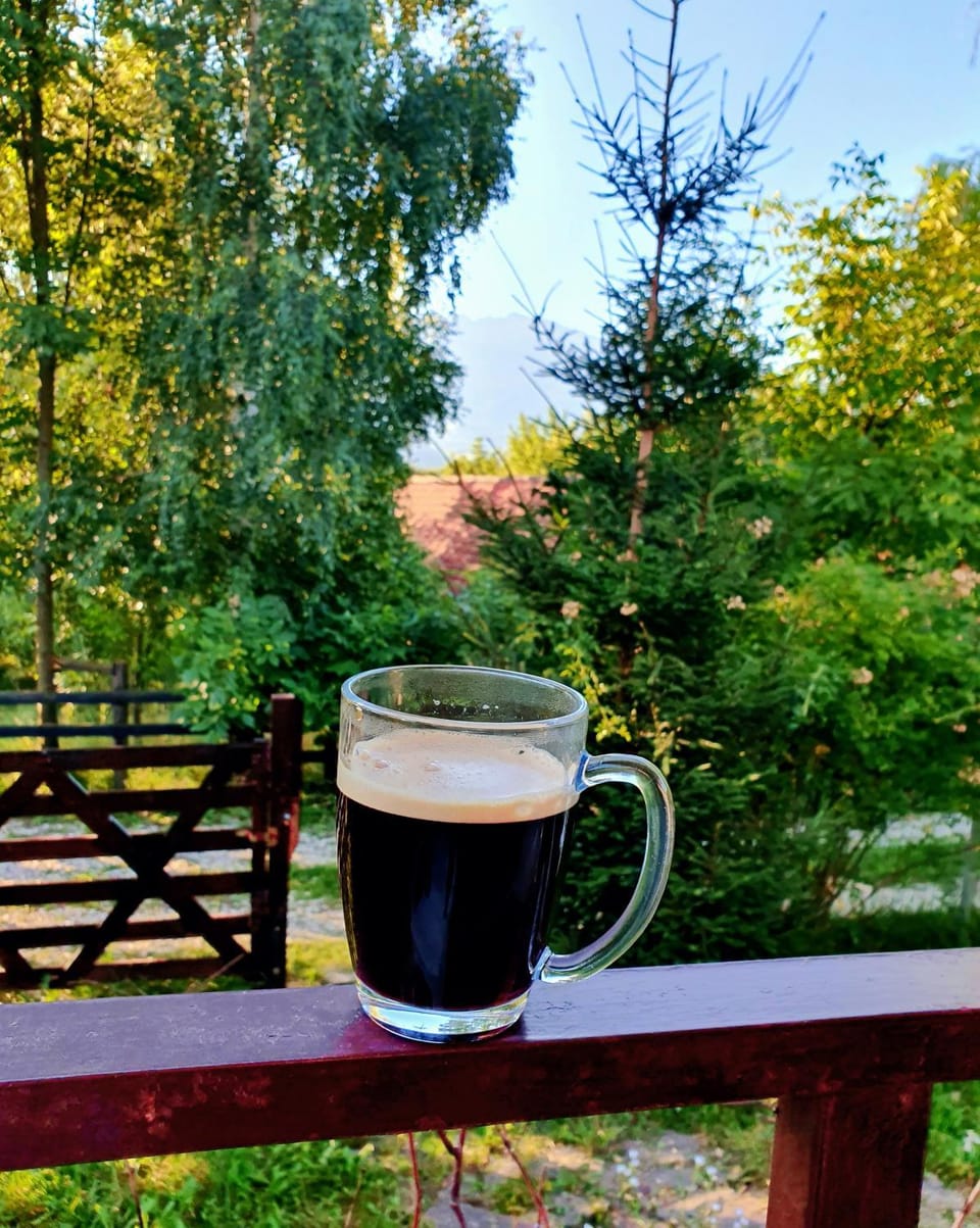 View (from property/room), Mountain view