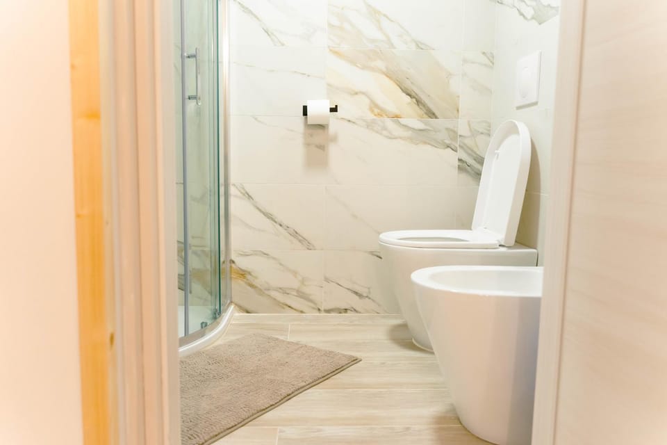 Shower, Toilet, Bathroom, bidet