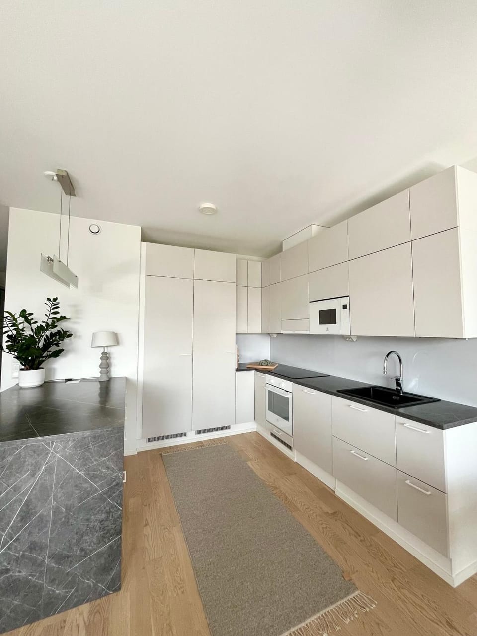 Kitchen or kitchenette, dishwasher