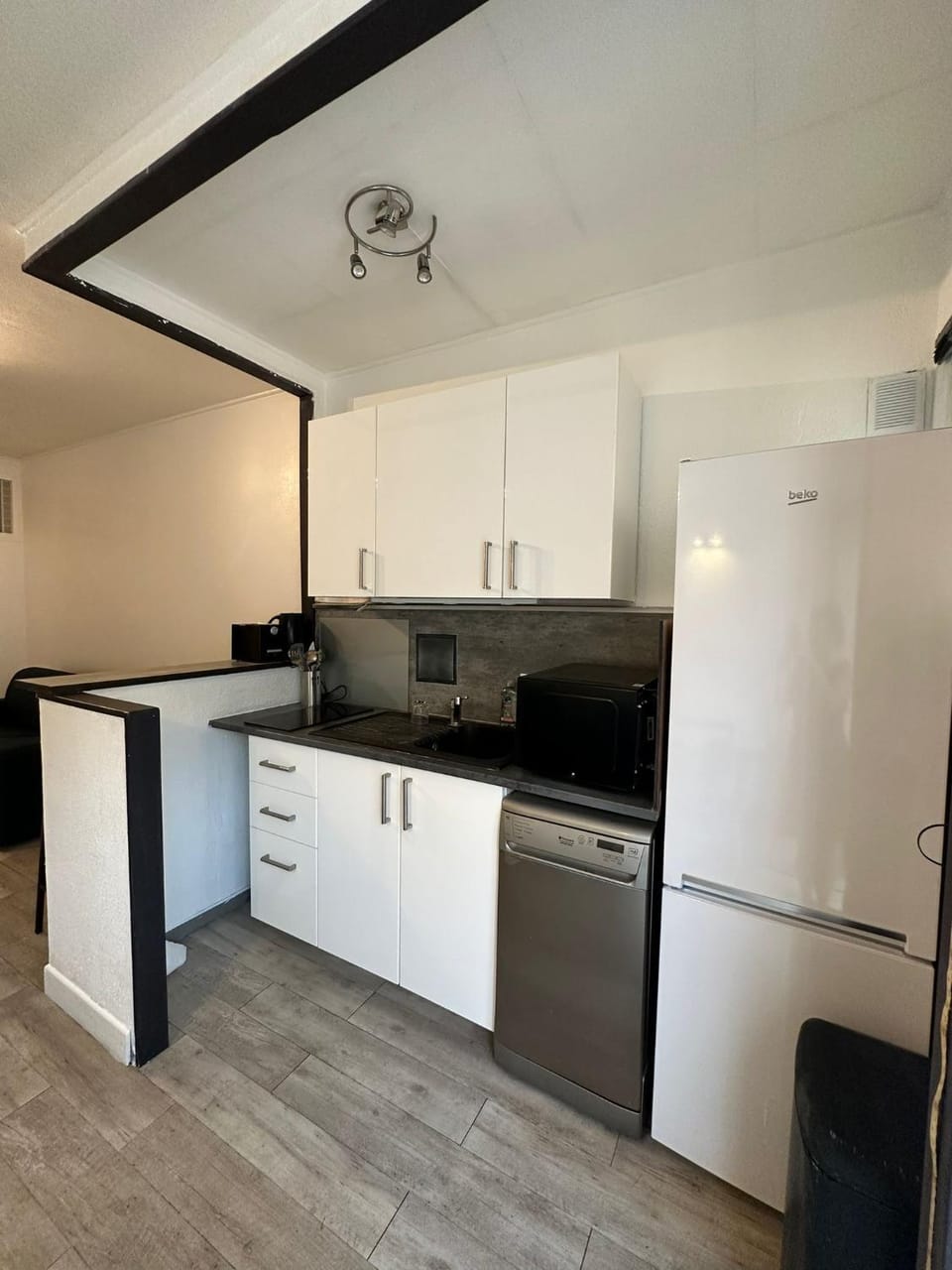 Kitchen or kitchenette, dishwasher, minibar, stove