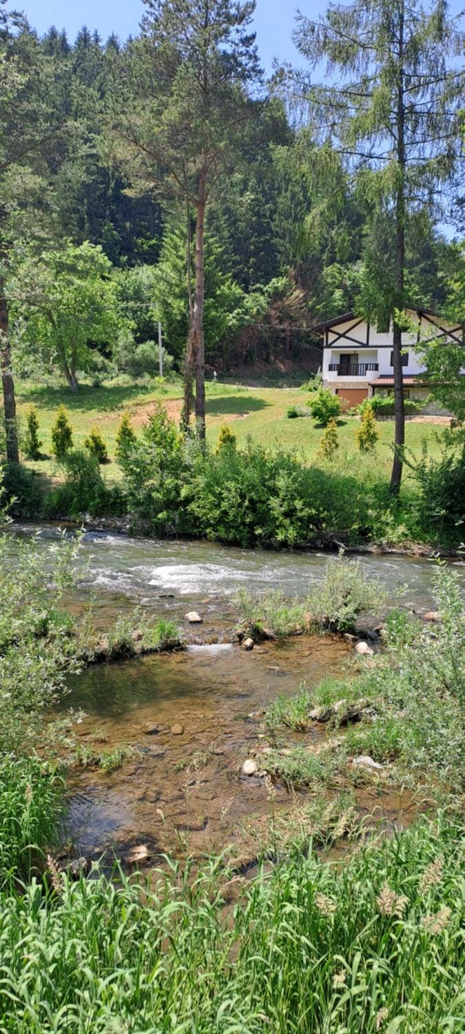 River view