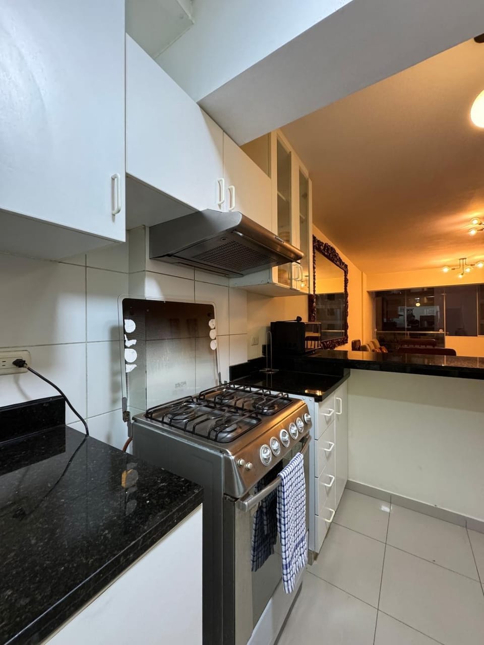 Kitchen or kitchenette, dishwasher