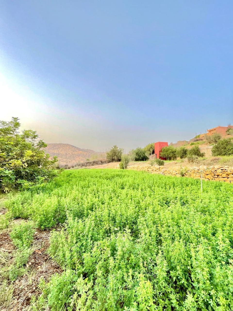 Agadir Tighanimine maison avec piscine dans une ferme House in Agadir