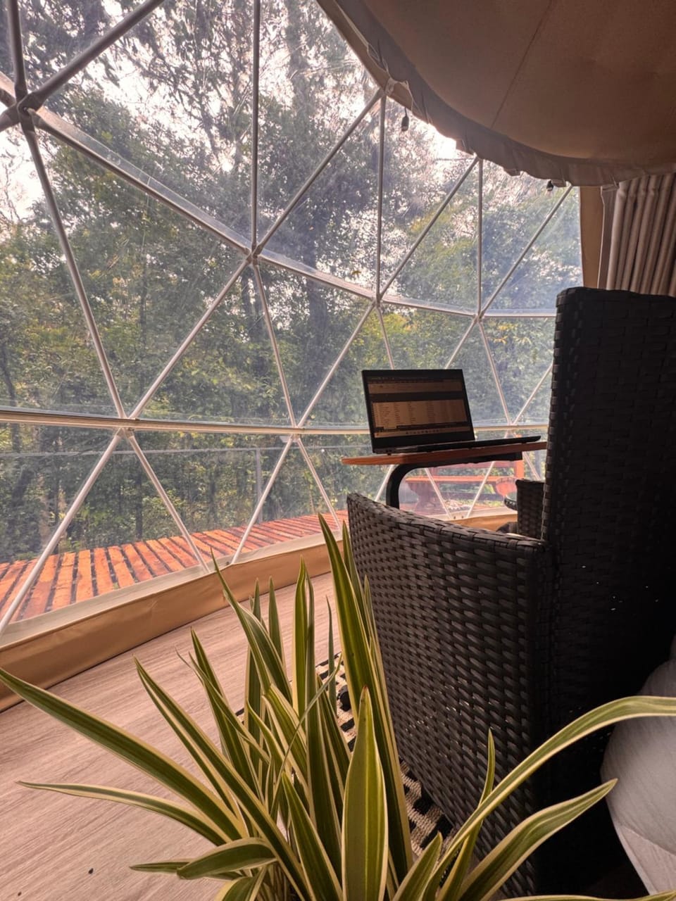 Day, Garden view