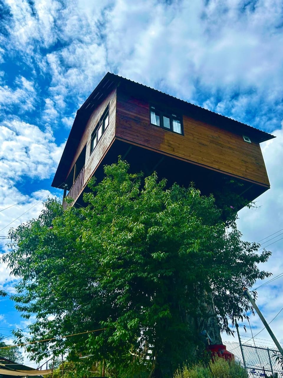 Property building, Day