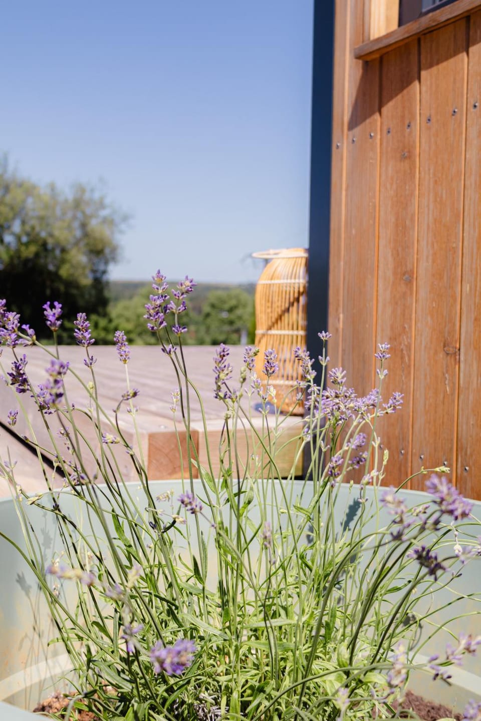 Day, Garden, Garden view