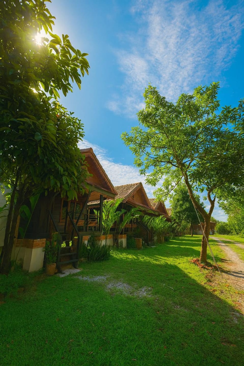 Day, Natural landscape, Garden